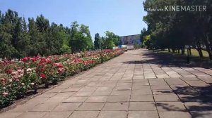 Vlog. Лагерь ,,Красная гвоздика,,