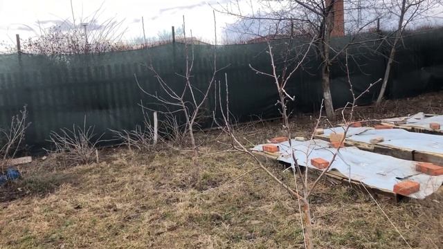 Когда не погода  кто чем занимается ?