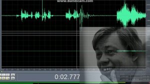 Транскоммуникация ФЭГ Николай Караченцов