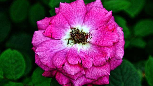 Самая новая песня для фитнес - онлайн смотреть в каче... смотреть онлайн