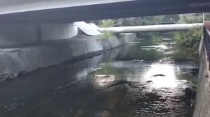 Река Яуза в городе Москва (Россия)