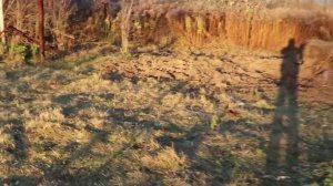 Минитрактор СКАУТ Т-18 с почвофрезой