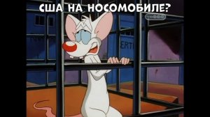 Пинки и Брейн - А что мы будем делать завтра вечером?