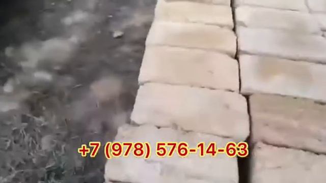 Ракушечник