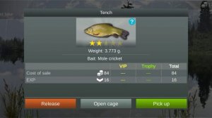 My Fishing World : Линь (Ежедневное задание, Затерянное озеро) #myfishingworld