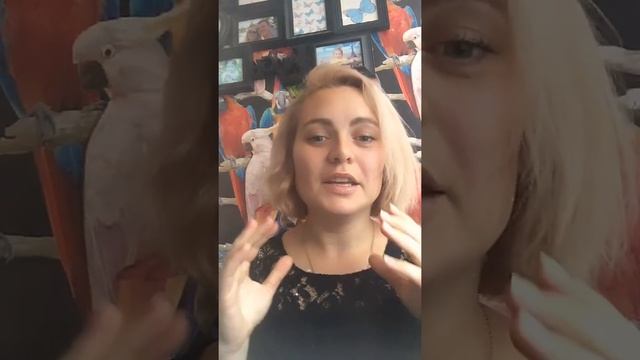 ТОП ошибок начинающего Newborn фотографа смотреть онлайн