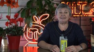 Как вывести НАВСЕГДА Хвощ с Дачного Участка ✔️ ПОЛЕЗНЫЕ СВОЙСТВА ХВОЩА