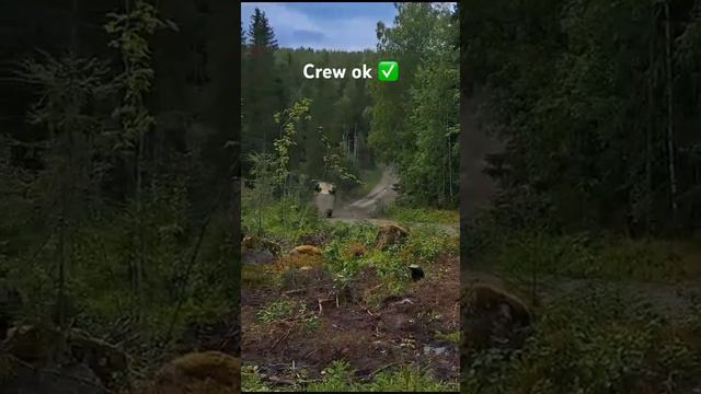 Fan Cam of Rovanperä's Crash!