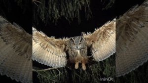 Хит шансона 2023