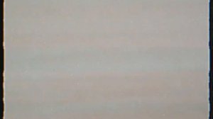 викторина зака для юных гениев на канале komodolmmuno