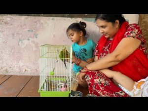 Vlog 26. Нас ждёт ещё одна свадьба! Приготовила мумбайское блюдо пау баджи