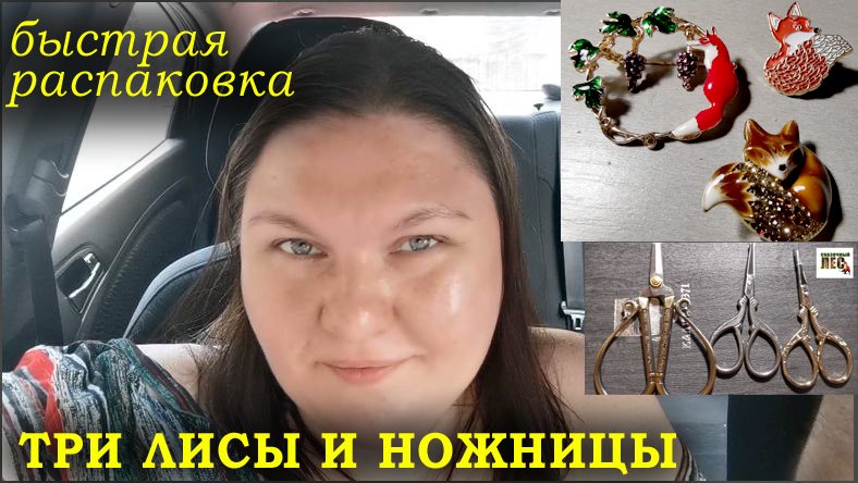 БЫСТРАЯ РАСПАКОВКА/три лисы и ножницы/СКАЗОЧНЫЙ ЛЕС