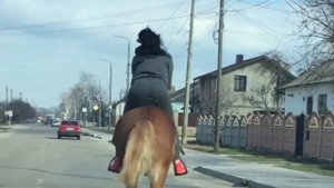 Девушка на коне 50км/ч.