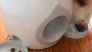 10 классных товаров с сайта AliExpress. Обзор крутых и интересных вещей с Алиэкспресс