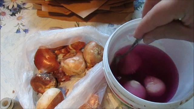 КАК СОХРАНИТЬ ЛУКОВИЦЫ ТЮЛЬПАНОВ ДО ВЕСНЫ? / Elena Pero