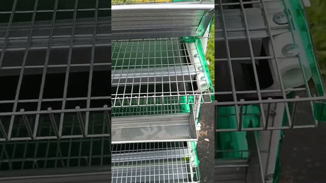 сколько стоит пластиковая клетка для перепелов
