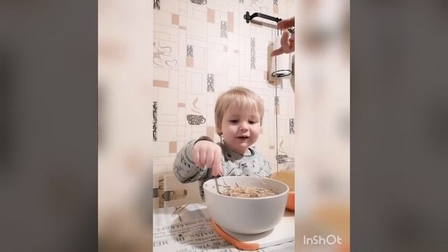 Кормушка из апельсина смотреть онлайн