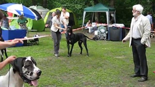 Бальтазар))) смотреть онлайн