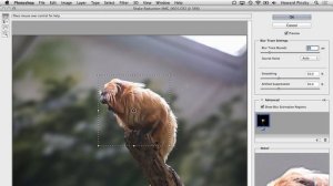 How to Reduce Blur Using Shake Reduction in Photoshop