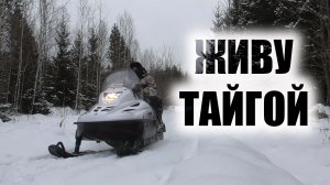Охота на соболя Один день в лесу на снегоходе тайга варяг 550 Промысел