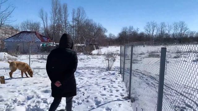#145 Кормушка для кур своими руками за 10 минут. Живём на Кубани.