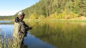 Ловля лосося. Нерис. 2015