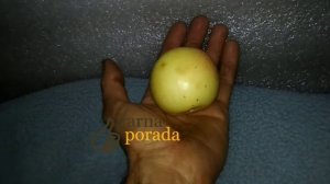 Когда ( в какое время дня) нужно есть яблоки