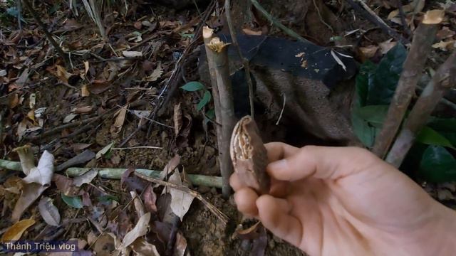 30 Ngày Thử Thách Sinh Tồn Trong Rừng  Ngày 17  30 Days Survival Challenge in the Jungle