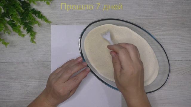 СУШКА ОБЪЕМНЫХ ЦВЕТОВ. КАК СУШИТЬ ЦВЕТЫ в МАНКЕ. СУХОЦВЕТЫ. смотреть онлайн