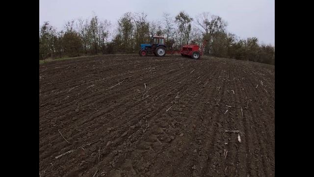 Посев зимуючего гороха "НС Мороз", в декабре. Подзимний посев гороха. Сеялка Альфа/ALFA 4. Elvorti