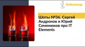 Шоты №36. Сергей Андронов и Юрий Семенюков про IT Elements