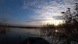 Карась осенью ОЗВЕРЕЛ, я  даже боялся руки помыть!!! Поклёвки крупным планом.