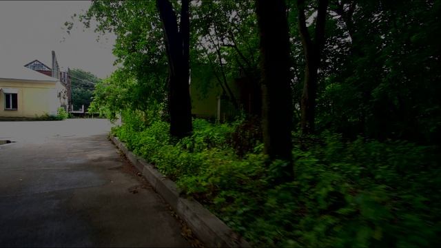 Сокольники
