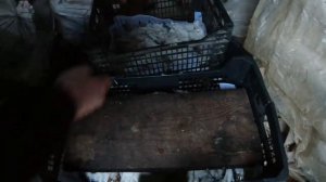 КАК ПРАВИЛЬНО И ВКУСНО СОЛИТЬ РЫБУ СУХИМ ПОСОЛОМ  ЛУЧШИЙ РЕЦЕПТ ВЯЛЕНОЙ ТАРАНИ В ДОМАШНИХ УСЛОВИЯХ!