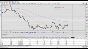 Торговый скрипт отложенного ордера для торговой платформы MT5