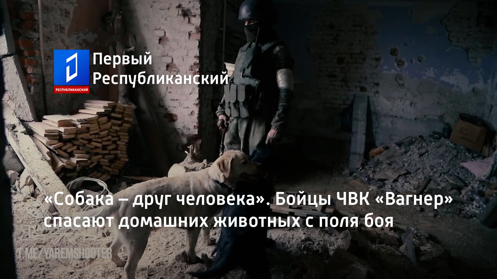 «Собака – друг человека». Бойцы ЧВК «Вагнер» спасают домашних животных с поля боя