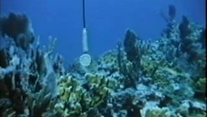 Институт Муди Голас Глубины.1961