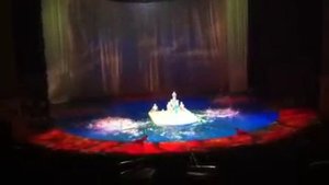 Цирк дюсалей