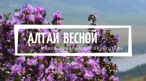 Алтай весной (дорога на маральник, водопад Бельтиртуюк)