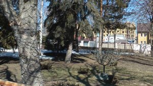 Санаторий Нива, г.Ессентуки