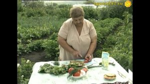 Салат из листовой свеклы Мангольд на летнем столе дачника