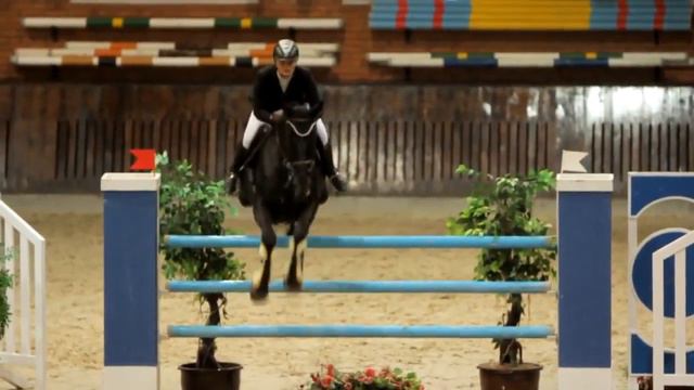 Турнир по конкуру . Красивые лошади смотреть онлайн