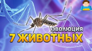 7 животных, которые эволюционировали невероятно быстро ‒ и всё из-за людей | Plushkin