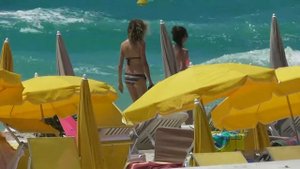 Франция.Канны.Набережная Круазет.France.Cannes.Quai De La Croisette.