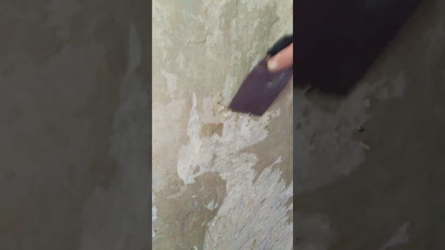 Как очистить стену от обои наклеенной на клей ПВА. смотреть онлайн