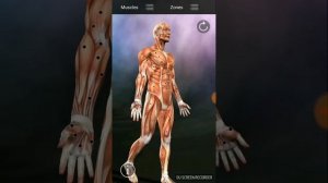 Карта триггерных точек и отражённой боли на Android