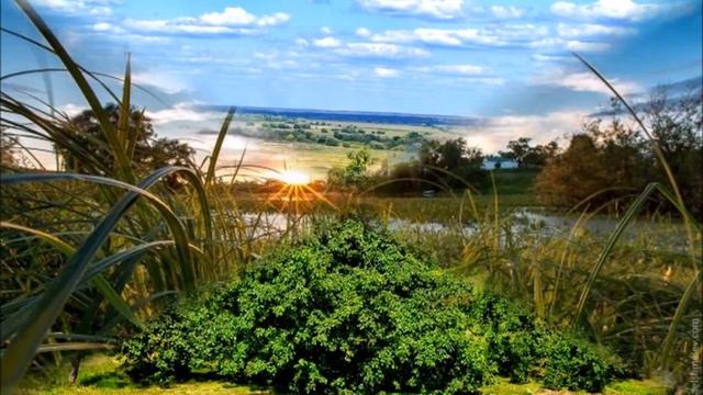 Когда волнуется желтеющая нива смотреть онлайн