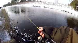 Ловим окуня на Crazy Fish Ebisu gold II. Супер уловистая резина на окуня