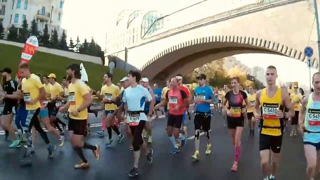 Московский марафон 2015
