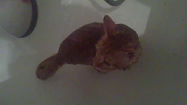 купаться только под душем.MP4 смотреть онлайн